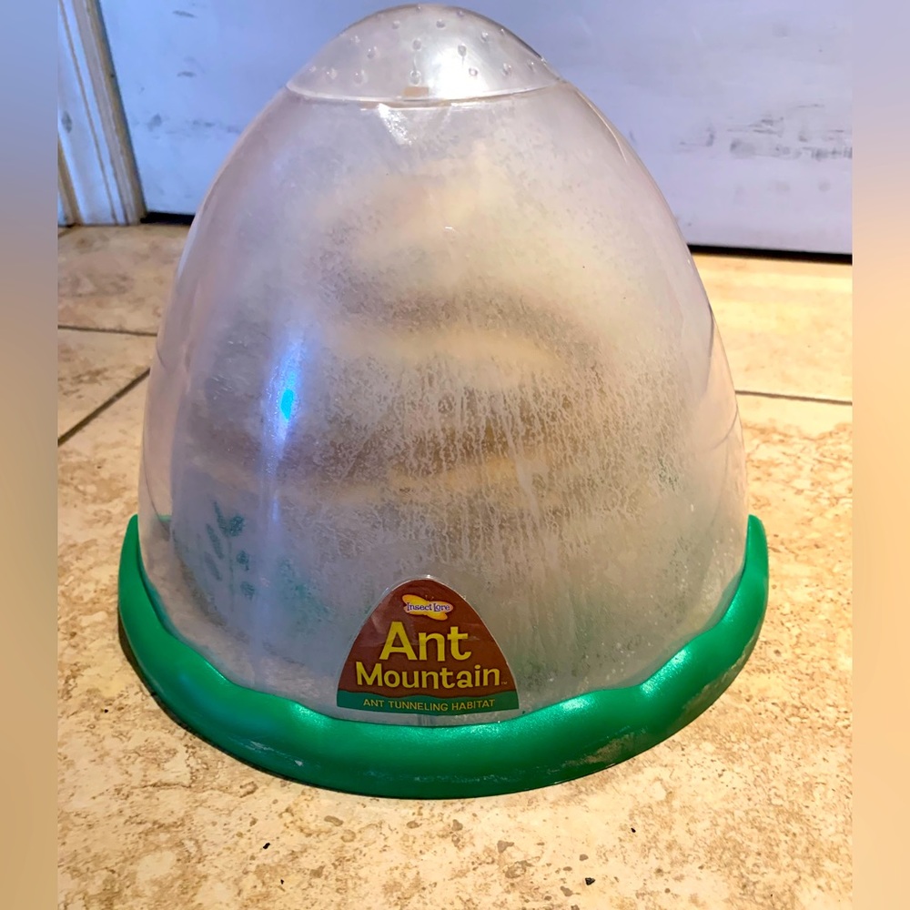 Insect Lore Ant Mountain Tunneling Habitat